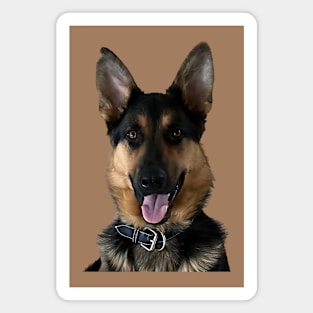 Gorgeous German Shepherd Magnet